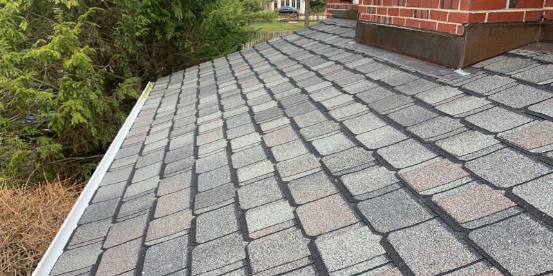 What You Should Know about Roof Cleaning